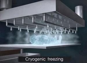 Cryogenic burial alternative