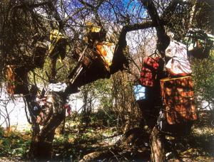 Tree burial